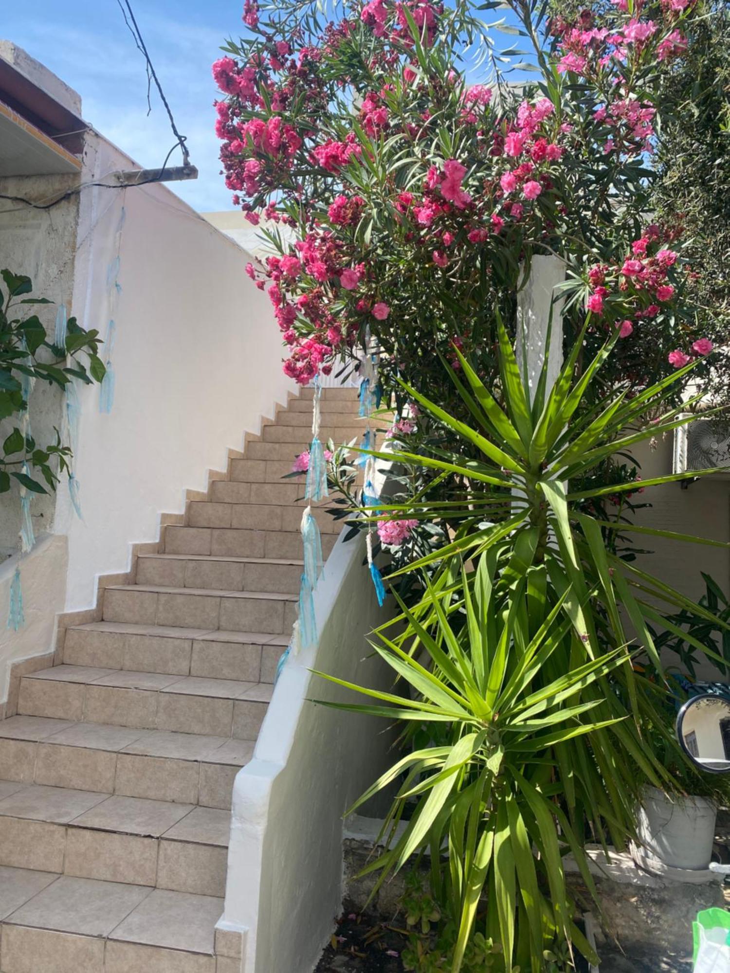 Seaside Home ريثيمنو المظهر الخارجي الصورة